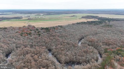 0 Tbd Fleming Mill, POCOMOKE CITY, MD, 21851 | Card Image