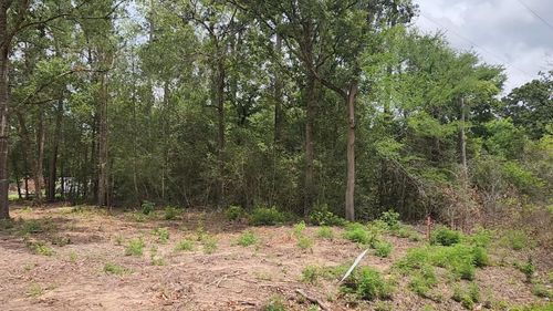 Lot 10 B53 Sweetleaf Ln, Plantersville, TX, 77363 | Card Image