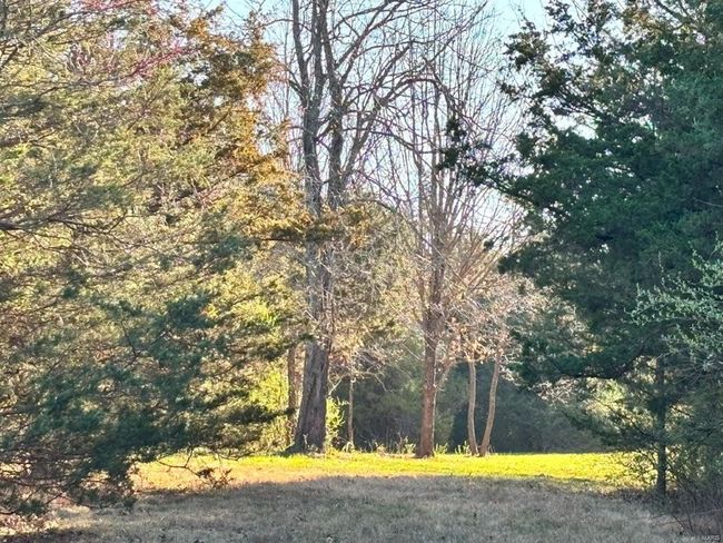 View of local wilderness with a wooded view | Image 17