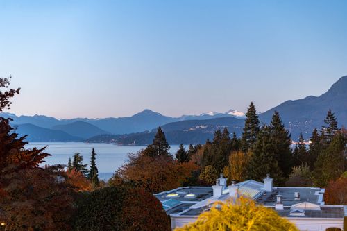 {{alt}} | Card Image