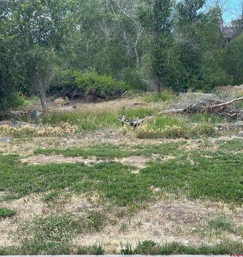 720 Se Stonebridge Dr, Cedaredge, CO, 81413 | Card Image