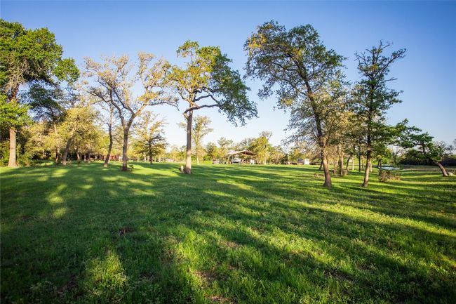 View of grassy yard | Image 22