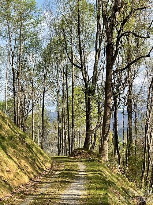 56-1414 Easy Wind Dr, Swannanoa, NC, 28778-0556 | Card Image