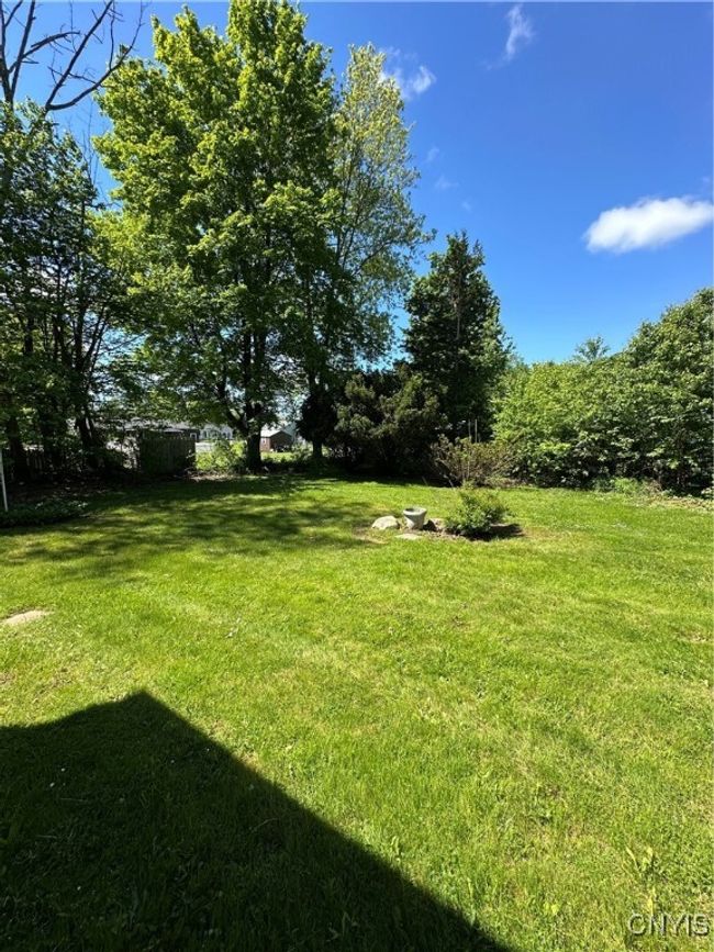 Backyard | Image 16