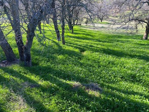 5588 Rippon Rd, Valley Springs, CA, 95252-8499 | Card Image