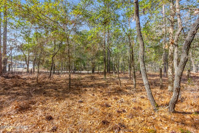 401 Hardison Dr, Home with 0 bedrooms, 0 bathrooms and null parking in Minnesott Beach NC | Image 10