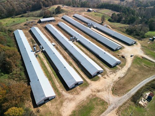 0 Cowbranch Rd, Hackleburg, AL, 35564 | Card Image