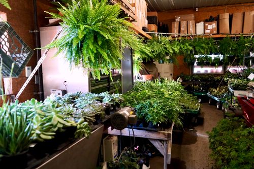 000 Confidential Street, Confidential, ME, 00000 | Card Image