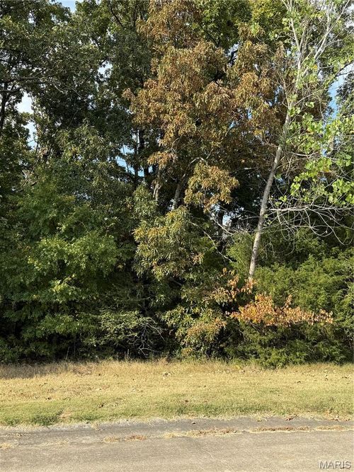 35 Brownwood Ct, Poplar Bluff, MO, 63901 | Card Image