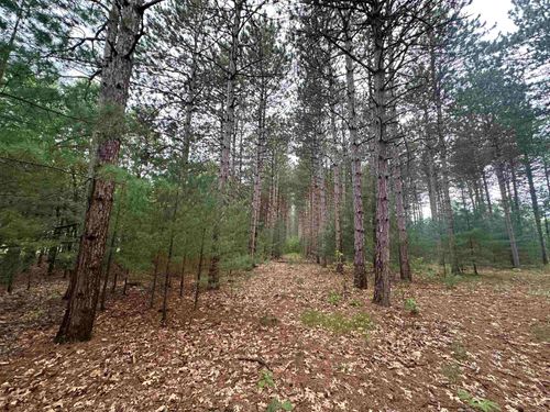 52+/-acres Happersett Lane, MARION, WI, 54970 | Card Image