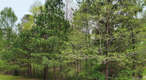 Lot 24 Evergreen, El Dorado, AR, 71730 | Card Image
