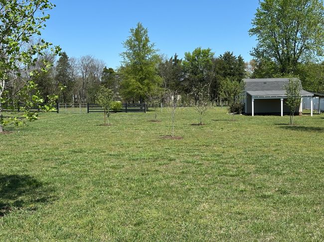 7540 Joe Rowlin Rd, House other with 3 bedrooms, 2 bathrooms and 4 parking in Christiana TN | Image 8