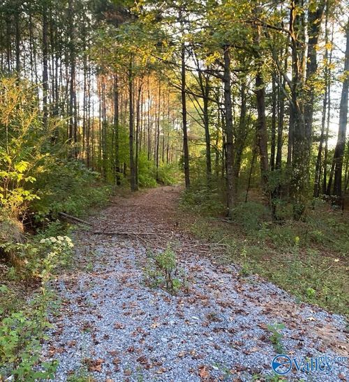 3.7 Acres County Highway 10, Blountsville, AL, 35031 | Card Image
