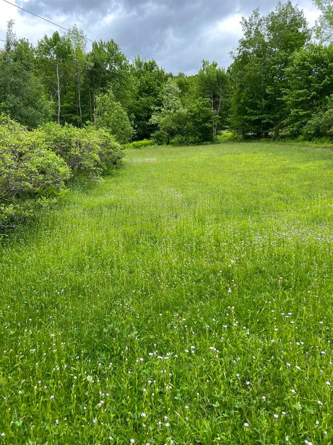 1680 W Hill Dr, Home with 0 bedrooms, 0 bathrooms and null parking in Readsboro VT | Image 5