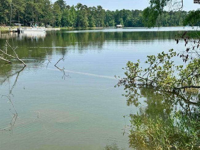 348 Amalfi Dr, House other with 3 bedrooms, 3 bathrooms and null parking in Chapin SC | Image 52