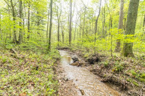 6000 W County Road 700 N, Freetown, IN, 47235 | Card Image