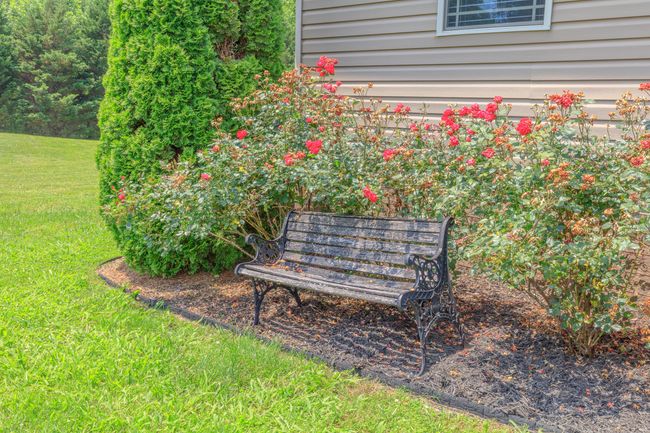 Beautiful landscaping | Image 41