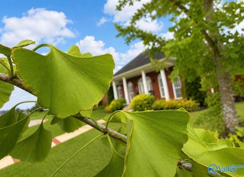 2001 Park Terrace, Decatur, AL, 35601 | Card Image