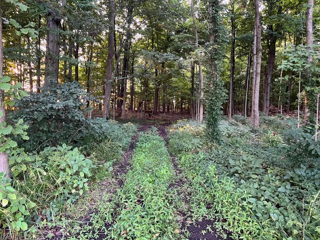 0 Norton Road, Home with 0 bedrooms, 0 bathrooms and null parking in Radnor OH | Image 38