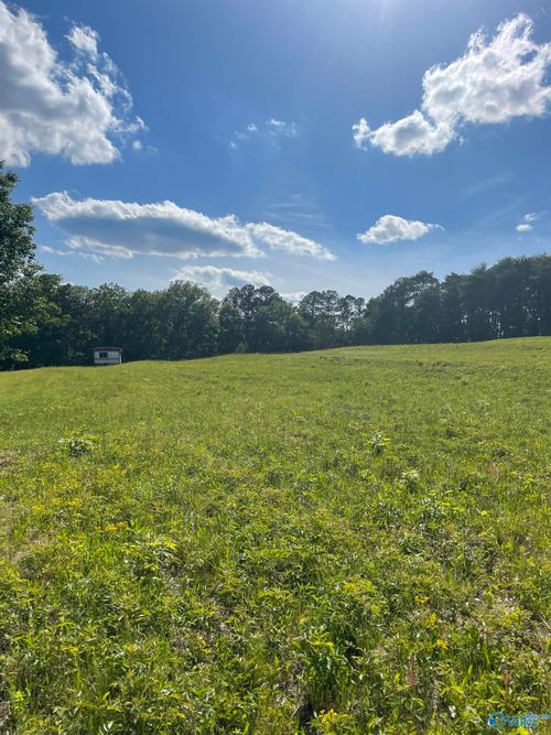 1779 County Road 822, Collinsville, AL, 35961-3619 | Card Image