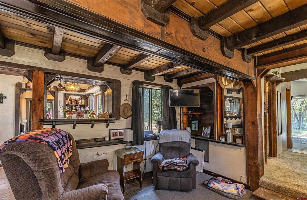 Residential in Pagosa Springs 3