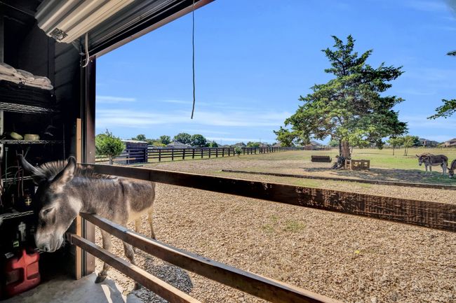 View of yard featuring a rural view | Image 26