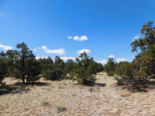 15 River Ln, Quemado, NM, 87829-0137 | Card Image