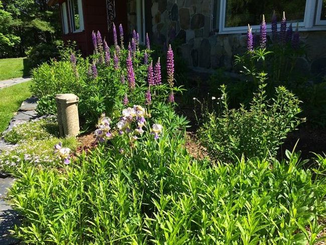 2 Juniper Ln, House other with 3 bedrooms, 3 bathrooms and null parking in Hanover NH | Image 25