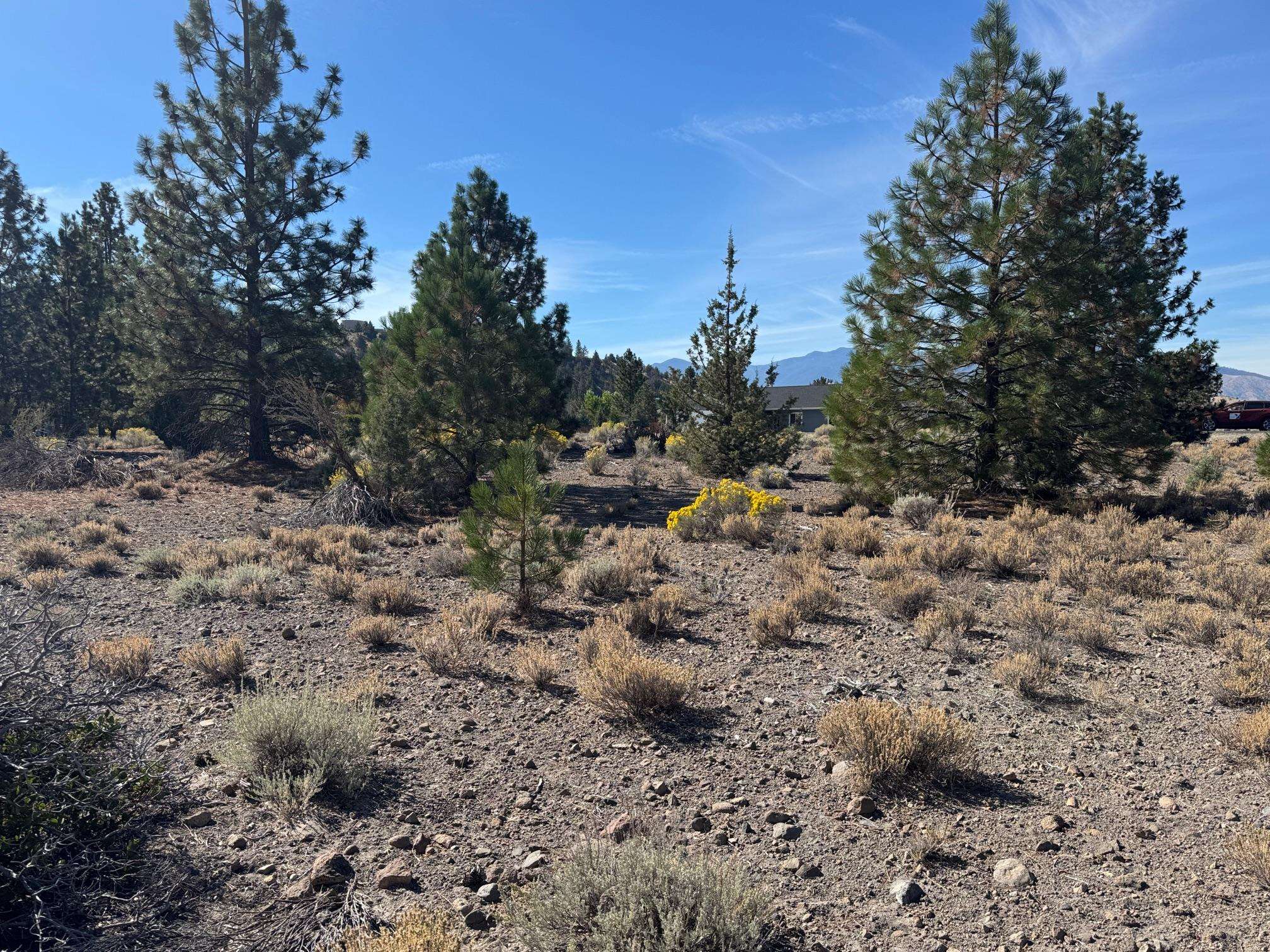Land in Weed 5