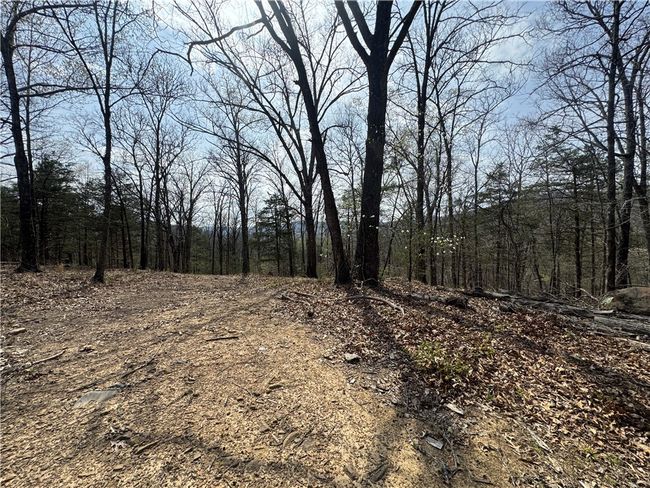 783 Nc 8400, House other with 2 bedrooms, 1 bathrooms and null parking in Jasper AR | Image 46