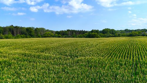 Lt2 3 Mile Rd, Franksville, WI, 53126 | Card Image