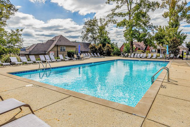 Gorgeous pool and lounging deck for Cherry Grove. | Image 55