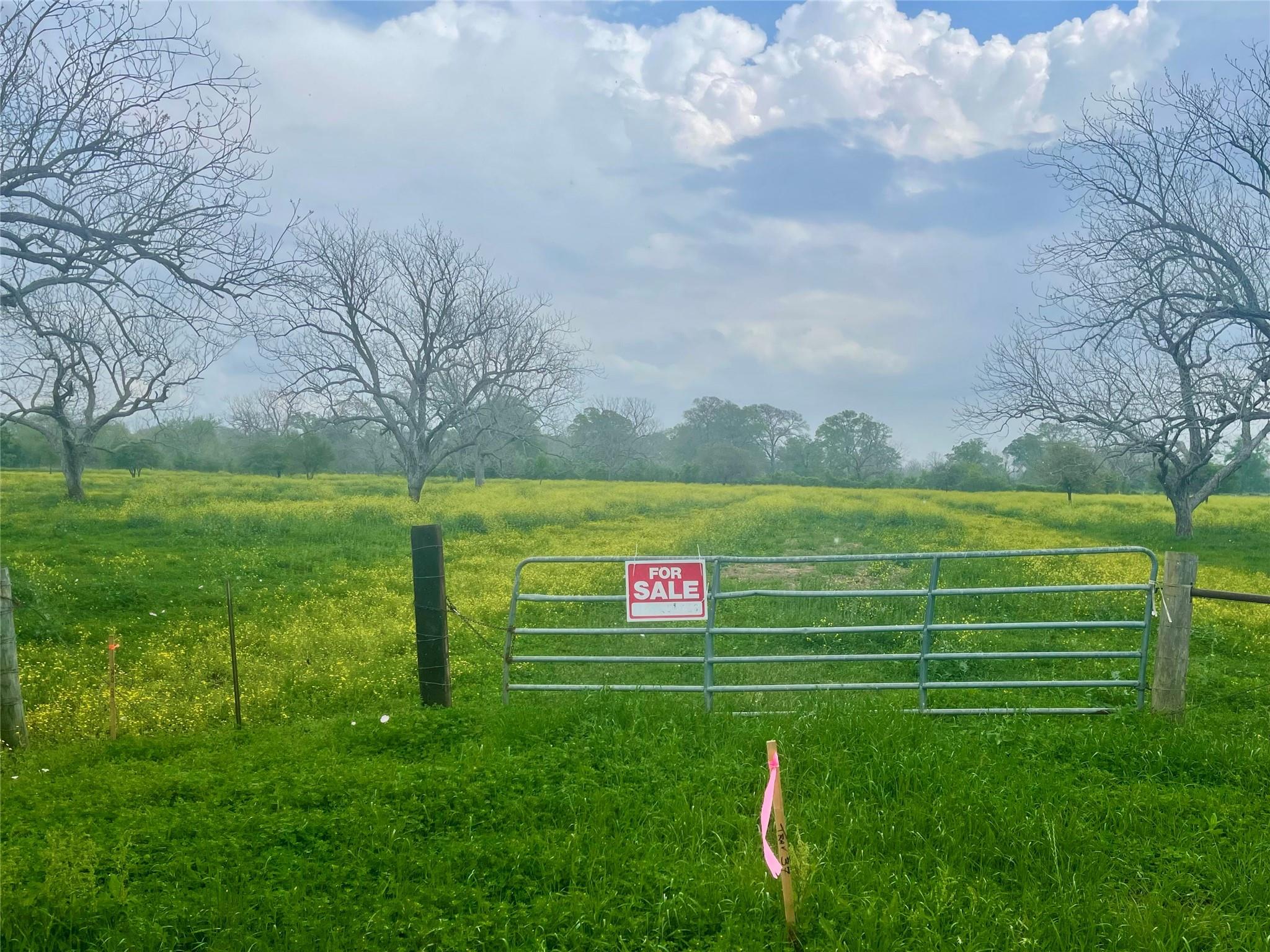 Farm in Wharton