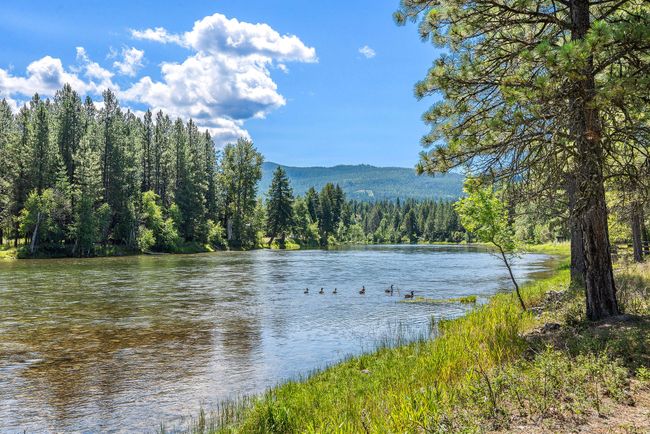 Serenity and Wildlife Abound All Around You... | Image 5