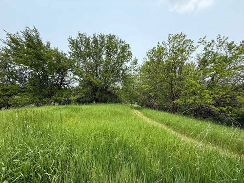 12210 N 59th Ave W, Mingo, IA, 50168-8503 | Card Image