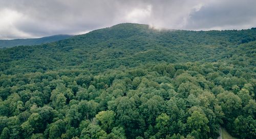 0 Crowell Gap Rd, Boones Mill, VA, 24065 | Card Image