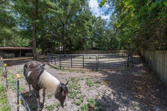 Horse Pasture. | Image 57