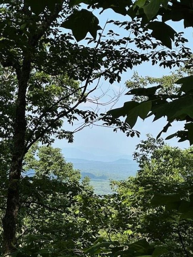 16 Ac Campbell Cove Creek Rd, Home with 0 bedrooms, 0 bathrooms and null parking in Turtletown TN | Image 13