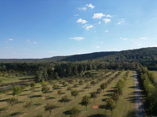 4231 Hwy 337 E Pecan Point Drive, Heber Springs, AR, 72543 | Card Image