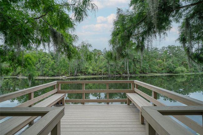 deck extending into river at park | Image 43