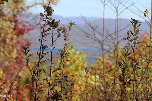 48 Locust Ln, Butler, TN, 37640 | Card Image