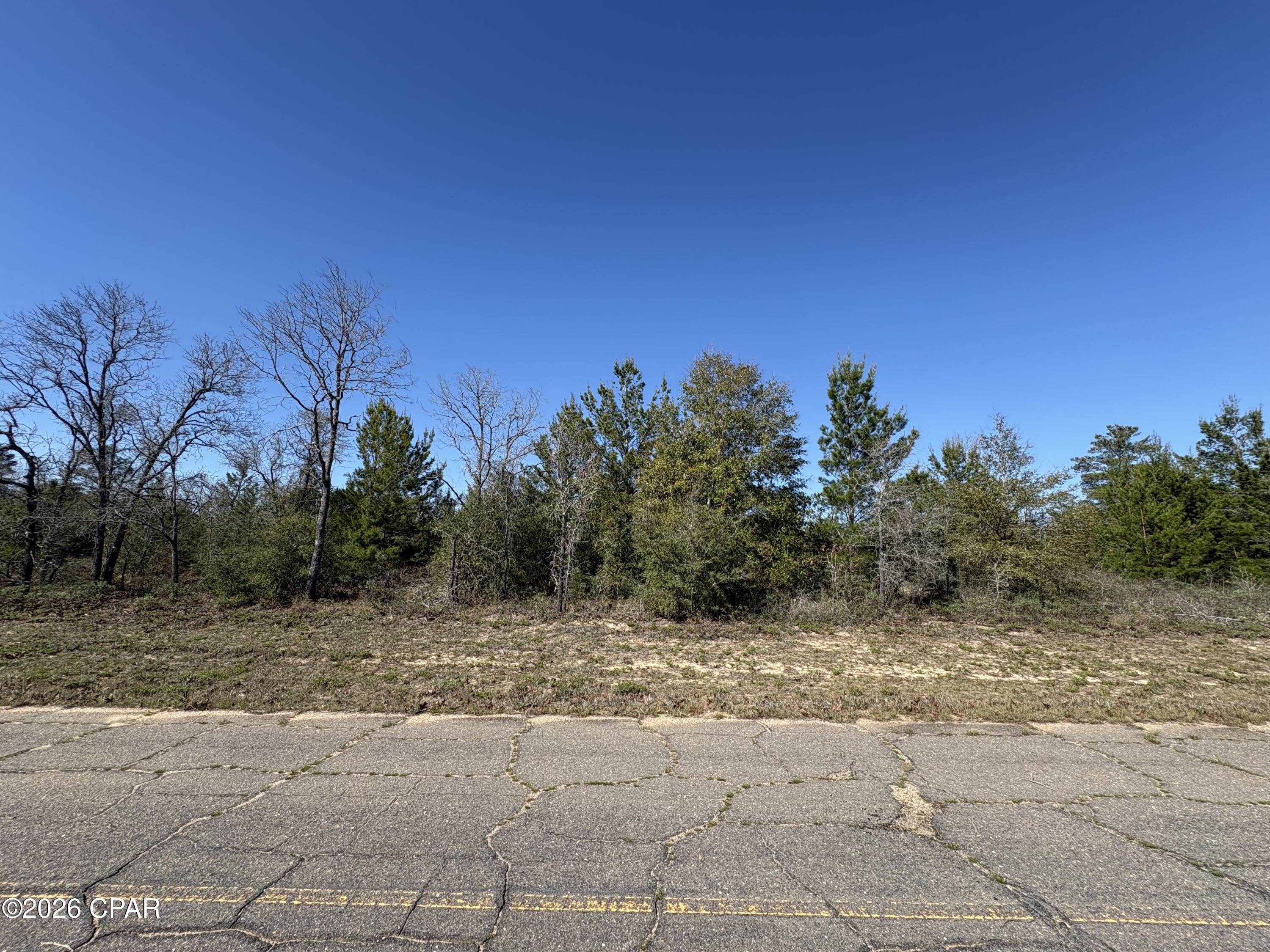 Land in Chipley 3
