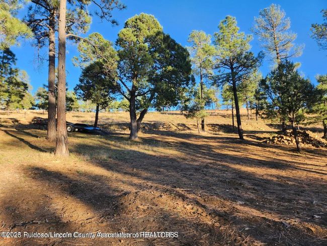 118 Charles Mcclellan Dr, Home with 0 bedrooms, 0 bathrooms and null parking in Ruidoso NM | Image 4