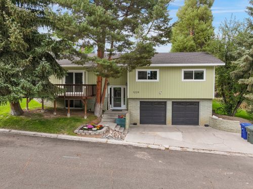 1239 Mountain View Dr, Elko, NV, 89801-2529 | Card Image