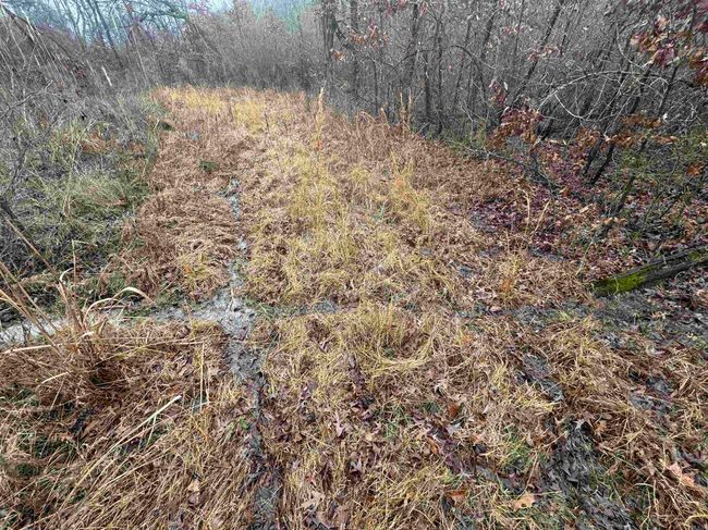 000 Ashley Road 912, Home with 0 bedrooms, 0 bathrooms and null parking in Hamburg AR | Image 14