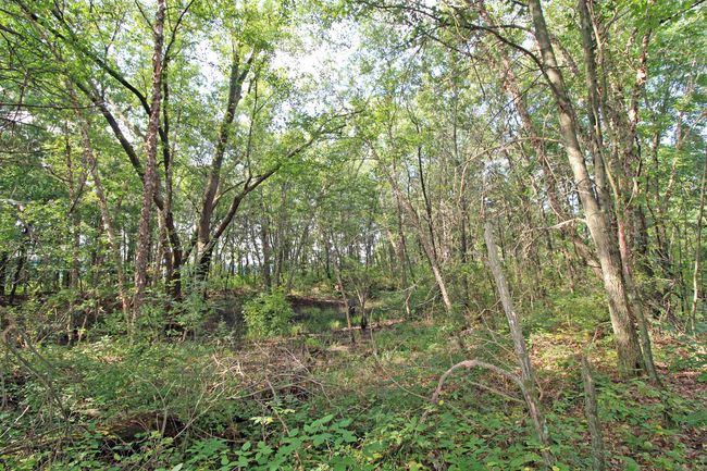 7750 Pine Rd, House other with 3 bedrooms, 2 bathrooms and null parking in ARENA WI | Image 42