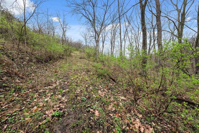 36480 Bouska Rd, Home with 0 bedrooms, 0 bathrooms and null parking in Prairie Du Chien WI | Image 44