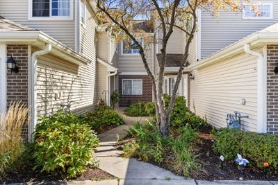 1113 E Wilson Avenue, Townhouse with 2 bedrooms, 2 bathrooms and 1 parking in Lombard IL | Image 3