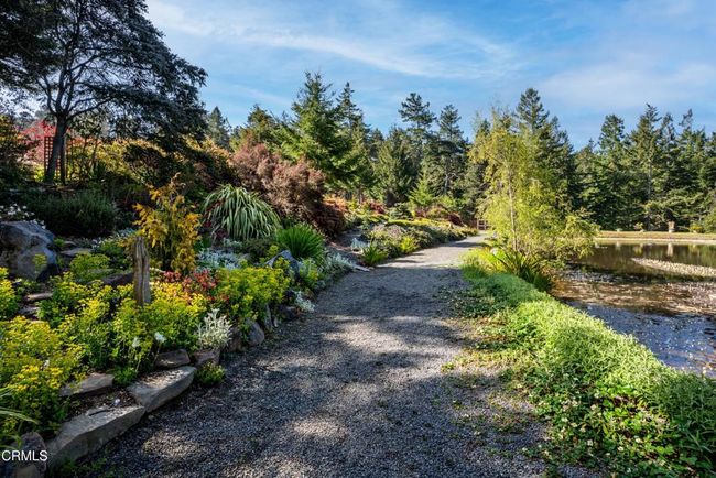 Garden | Image 26