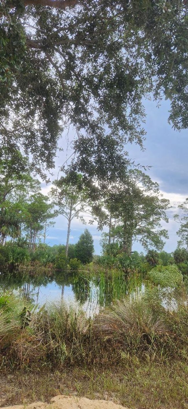 VIEW ALONG CKP DRIVE | Image 4